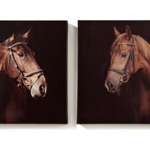 Horse Canvas Wall Prints