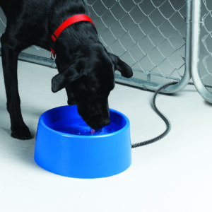 Heated Pet Bowl