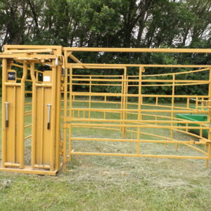 Maternity Pen