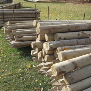 Wooden Fence Posts
