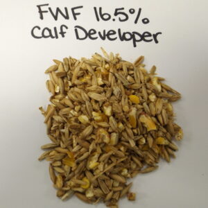 16.5% Calf Developer