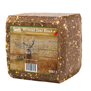 Whitetail Deer Block