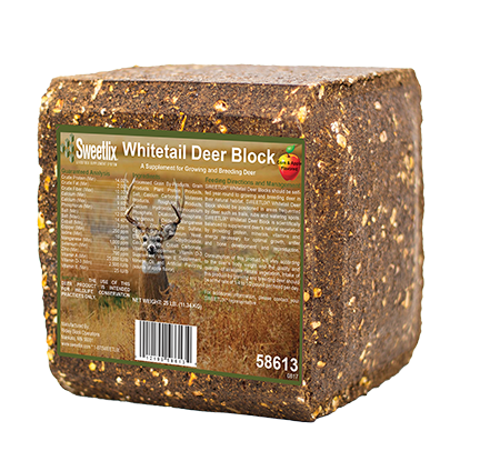 Whitetail Deer Block