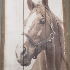 Burlap Horse Canvas