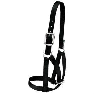 Barn Cow Halter - Small