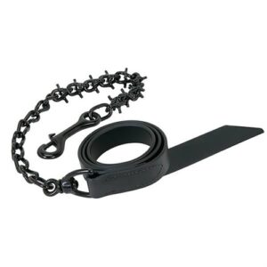 Pronged Lead Chain