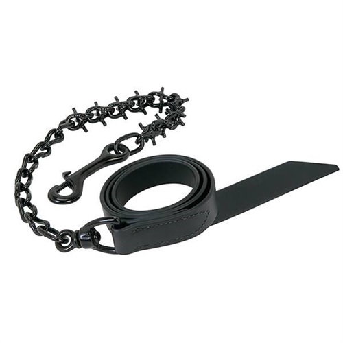 Pronged Lead Chain
